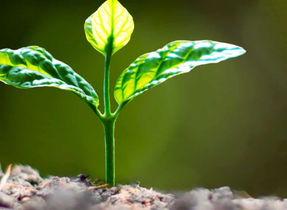 Espérance et Vie Yvelines – 1/02